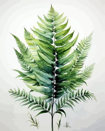 Watercolor illustration of a fern branch. hand-drawn illustration.のイラスト素材
