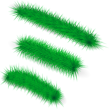 Vector image of a realistic Christmas treeのイラスト素材