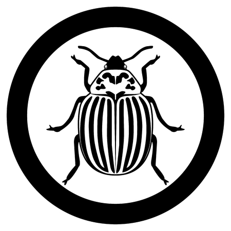 Vector image of the Colorado beetle silhouette on a white backgroundのイラスト素材