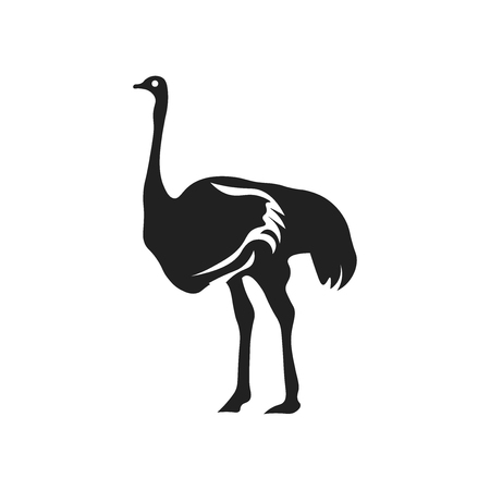 Ostrich icon vector isolated on white background for your web and mobile app design, Ostrich logo conceptのイラスト素材