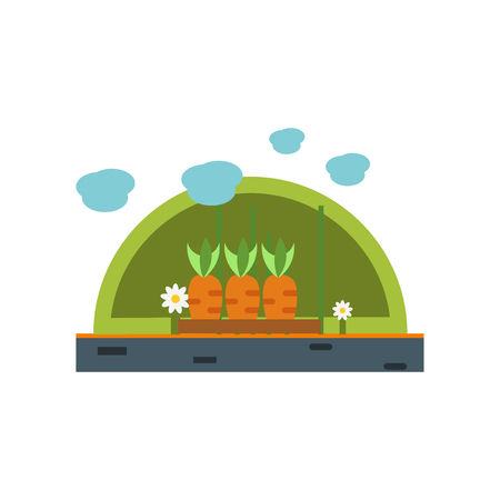 Carrots icon vector isolated on white background for your web and mobile app design, Carrots logo conceptのイラスト素材