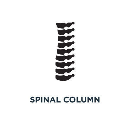 Spinal column icon. Simple element illustration. Spinal column concept symbol design, vector logo illustration. Can be used for web and mobile.のイラスト素材