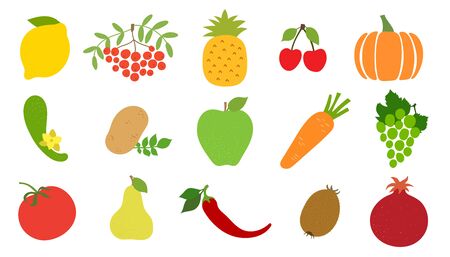 Lemon, rowan, mountain ash, apple, pineapple, pomegranate, cherry, grape, kiwi, pear, potato, cucumber, tomato, pepper, carrot, pumpkin. Vector vegetable, fruit, berry sketch. Healthy food collectionのイラスト素材
