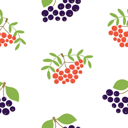 Mountain ash and black chokeberry. Seamless pattern. Vector berries. Design elements for textileのイラスト素材