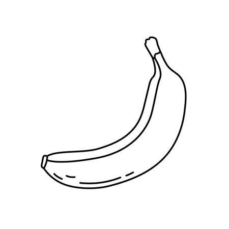 Banana. Fruit sketch. Black line icon. Vector illustration for coloring bookのイラスト素材