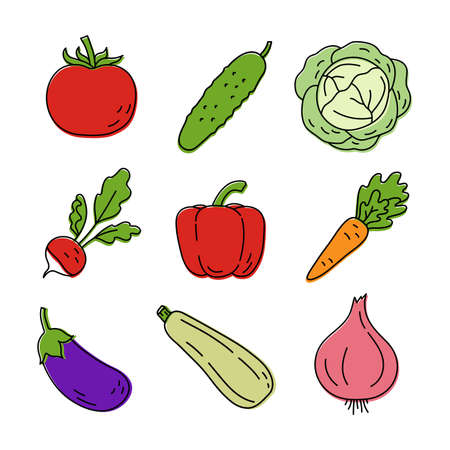 Vegetable sketch. Color simple icon. Hand drawn vector set. Tomato, cucumber, cabbage, radish and pepper. Carrot, eggplant, zucchini and onionのイラスト素材