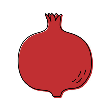 Garnet.Tropical, exotic fruit sketch. Color food icon. Cartoon vector illustration. Pomegranateのイラスト素材