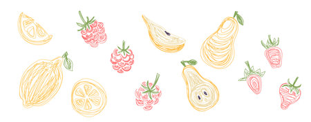 Lemon, raspberry, pear and strawberry. Fruit bundle. Hand drawn vector illustration. Pen or marker...