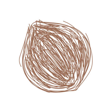 Coconut fruit. hand drawn vector illustration. Pen or marker doodle sketchのイラスト素材