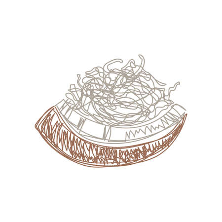 Coconut fruit. hand drawn vector illustration. Pen or marker doodle sketchのイラスト素材