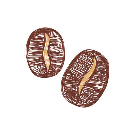 Coffee beans sketch. hand drawn vector illustration. Pen or marker doodle.のイラスト素材