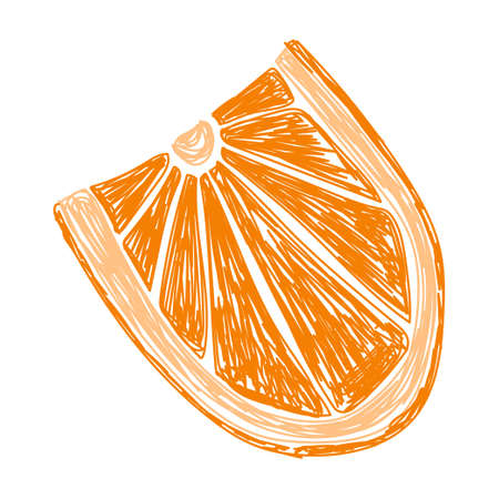 Orange sketch. Hand drawn vector illustration. Pen or marker doodle fruit.のイラスト素材