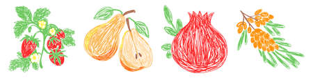 Strawberry, pear, pomegranate and sea buckthorn. fruit sketch set. hand drawn vector illustration. Pen or marker doodle.のイラスト素材