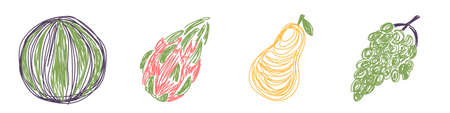 Watermelon, pear, grapes and pitaya. fruit sketch set. hand drawn vector illustration. Pen or marker doodle.のイラスト素材
