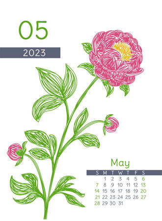 May calendar 2023 year. Peony botanical illustration. Calender design. Hand drawn vector pen or marker doodle sketch. natural pencil drawing.のイラスト素材