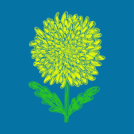 Chrysanthemum flower. hand drawn floral illustration. Pen or marker sketch. Vector hand drawn design print. natural pencil drawing.のイラスト素材