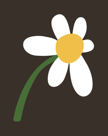 Abstract poster. Chamomile. Vector drawing picture. Trendy styleのイラスト素材