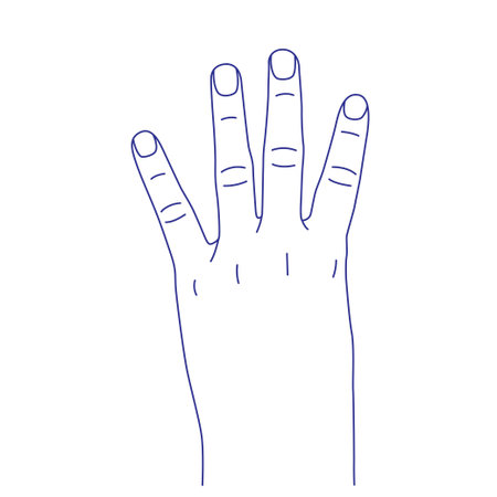 Hand gesture sketch. Counting with fingers. Four signのイラスト素材