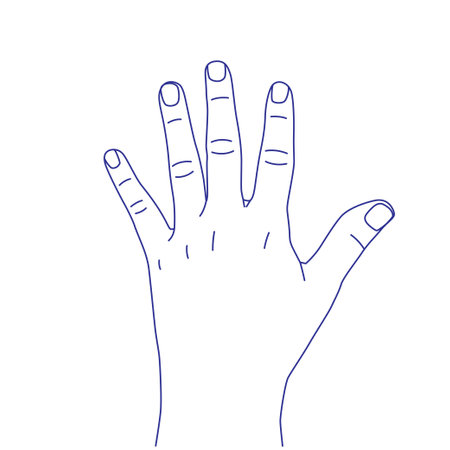 Hand gesture sketch. Counting with fingers. One, two, three, four and five. Palm back. Index, middle, ring, little fingers and thumbのイラスト素材
