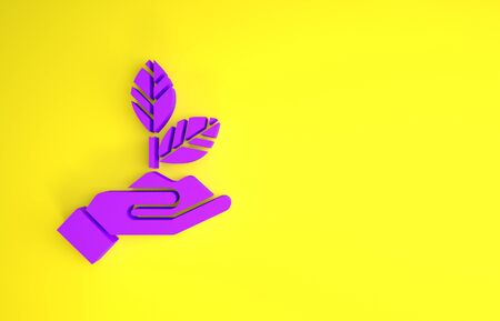 Purple Plant in hand of environmental protection icon isolated on yellow background. Seed and seedling. Planting sapling. Ecology concept. Minimalism concept. 3d illustration 3D renderの写真素材