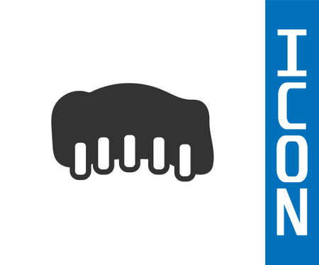 Grey Grilled pork bbq ribs icon isolated on white background. Vectorのイラスト素材