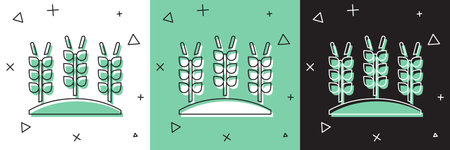 Set Cereals set with rice, wheat, corn, oats, rye, barley icon isolated on white and green, black background. Ears of wheat bread symbols. Vectorのイラスト素材