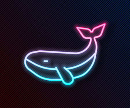 Glowing neon line Whale icon isolated on black background. Vectorのイラスト素材