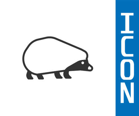 Grey Hedgehog icon isolated on white background. Animal symbol. Vectorのイラスト素材