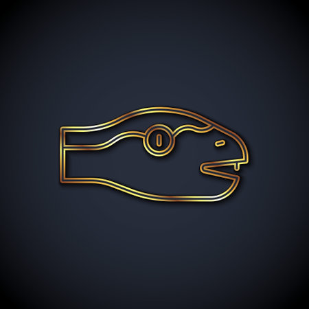 Gold line Snake icon isolated on black background. Vectorのイラスト素材