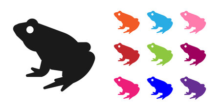 Black Frog icon isolated on white background. Animal symbol. Set icons colorful. Vectorのイラスト素材