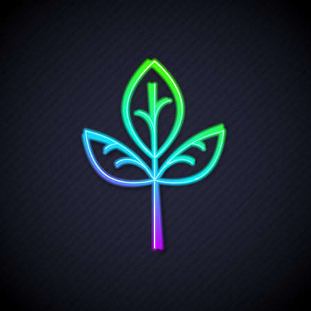 Glowing neon line Leaf icon isolated Glowing neon line background. Leaves sign. Fresh natural product symbol. Vectorのイラスト素材