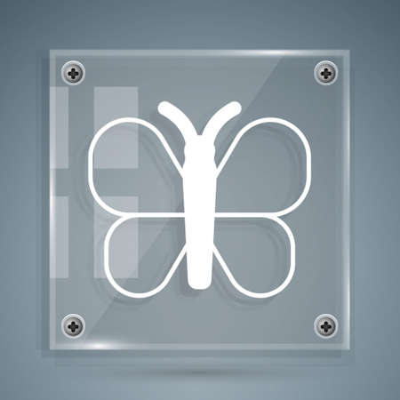 White Butterfly icon isolated on grey background. Square glass panels. Vectorのイラスト素材