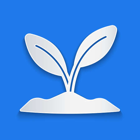 Paper cut Sprout icon isolated on blue background. Seed and seedling. Leaves sign. Leaf nature. Paper art style. Vectorのイラスト素材
