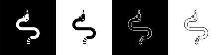 Set Snake icon isolated on black and white background. Vector