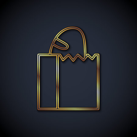 Gold line Paper bag with bread loaf icon isolated on black background. Vectorのイラスト素材