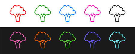 Set line Broccoli icon isolated on black and white background. Vectorのイラスト素材