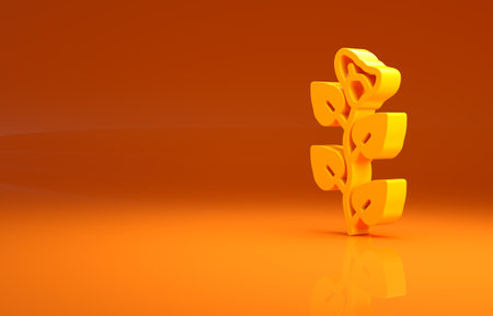 Yellow Ivy branch icon isolated on orange background. Branch with leaves. Minimalism concept. 3d illustration 3D renderの写真素材