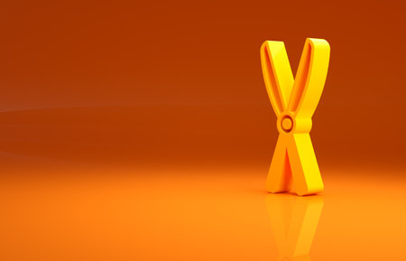 Yellow Gardening handmade scissors for trimming icon isolated on orange background. Pruning shears with wooden handles. Minimalism concept. 3d illustration 3D renderの写真素材