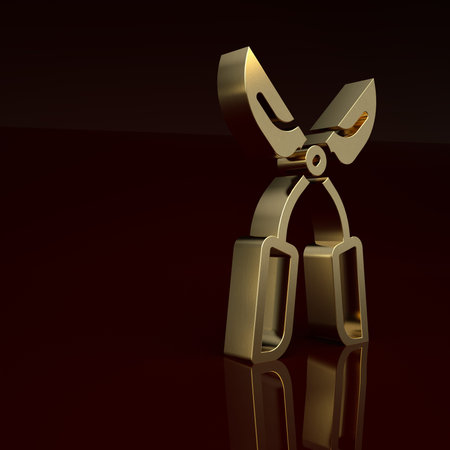 Gold Gardening handmade scissors for trimming icon isolated on brown background. Pruning shears with wooden handles. Minimalism concept. 3D render illustrationの写真素材