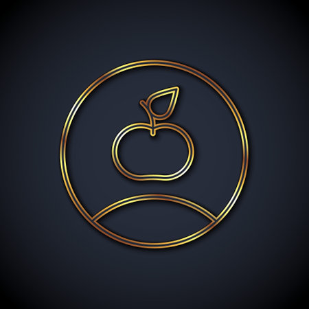 Gold line Apple icon isolated on black background. Excess weight. Healthy diet menu. Fitness diet apple. Vectorのイラスト素材