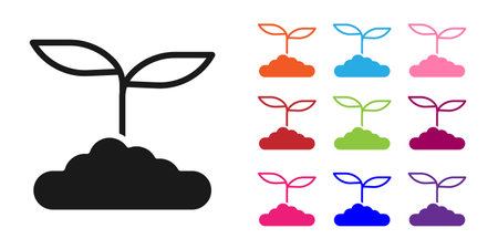 Black Tea leaf icon isolated on white background. Tea leaves. Set icons colorful. Vector.のイラスト素材