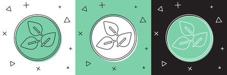 Set Tea leaf icon isolated on white and green, black background. Tea leaves. Vector.