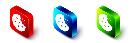 Isometric Cookie or biscuit with chocolate icon isolated on white background. Red, blue and green square button. Vector.のイラスト素材