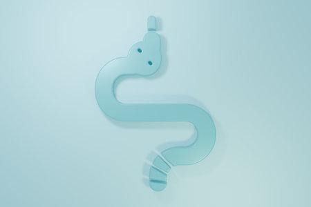 Blue Snake icon isolated on blue background. Minimalism concept. 3D render illustration.の写真素材