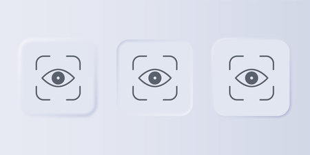 Gray Eye scan icon isolated on gray background. Scanning eye. Security check symbol. Cyber eye sign....