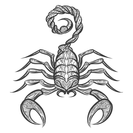 Hand drawn scorpion with floral ornamentのイラスト素材