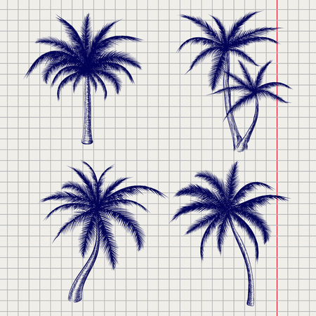 Palm sketches in ball pen imitation style on notebook page. Vector illustrationのイラスト素材