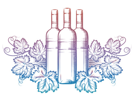 Hand drawn wine bottle and grape leaves isolated on white background. Colorful winery banner design. Vector illustrationのイラスト素材
