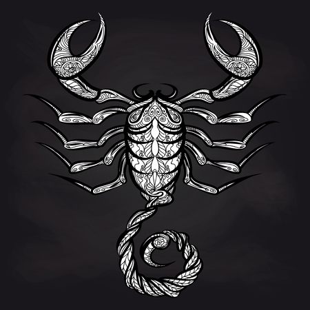 Doodle scorpion on blackboard background. Vector ornate Zodiac sign Scorpio designのイラスト素材
