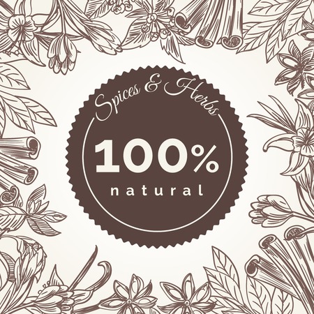 Herbs and spices hand drawn frame poster. Food design doodles cooking spices ingredients vector backgroundのイラスト素材